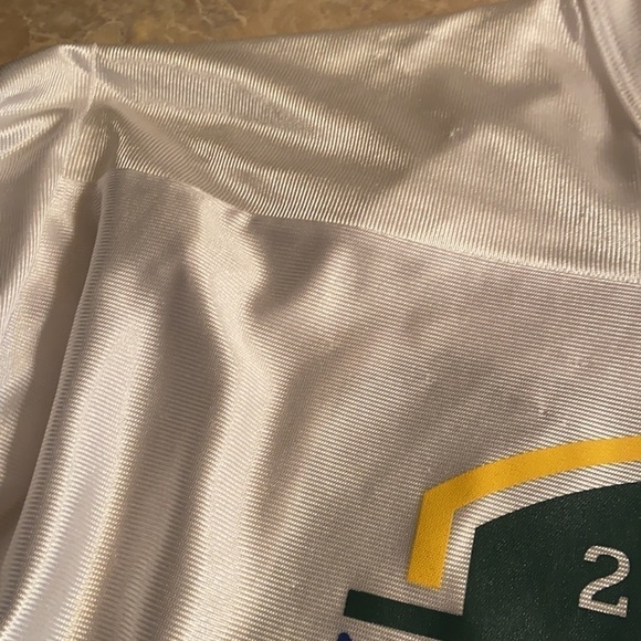NFL Packers 2010 Conference Champs Jersey - Picture 7 of 11